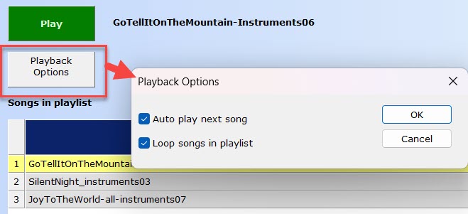 Playlist_PlaybackOptions